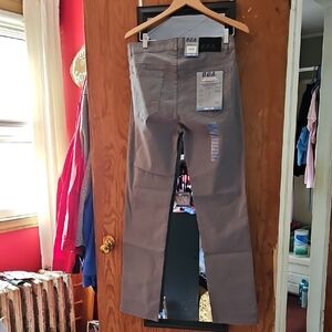 Gray Chinos Full-Length Casual Pants